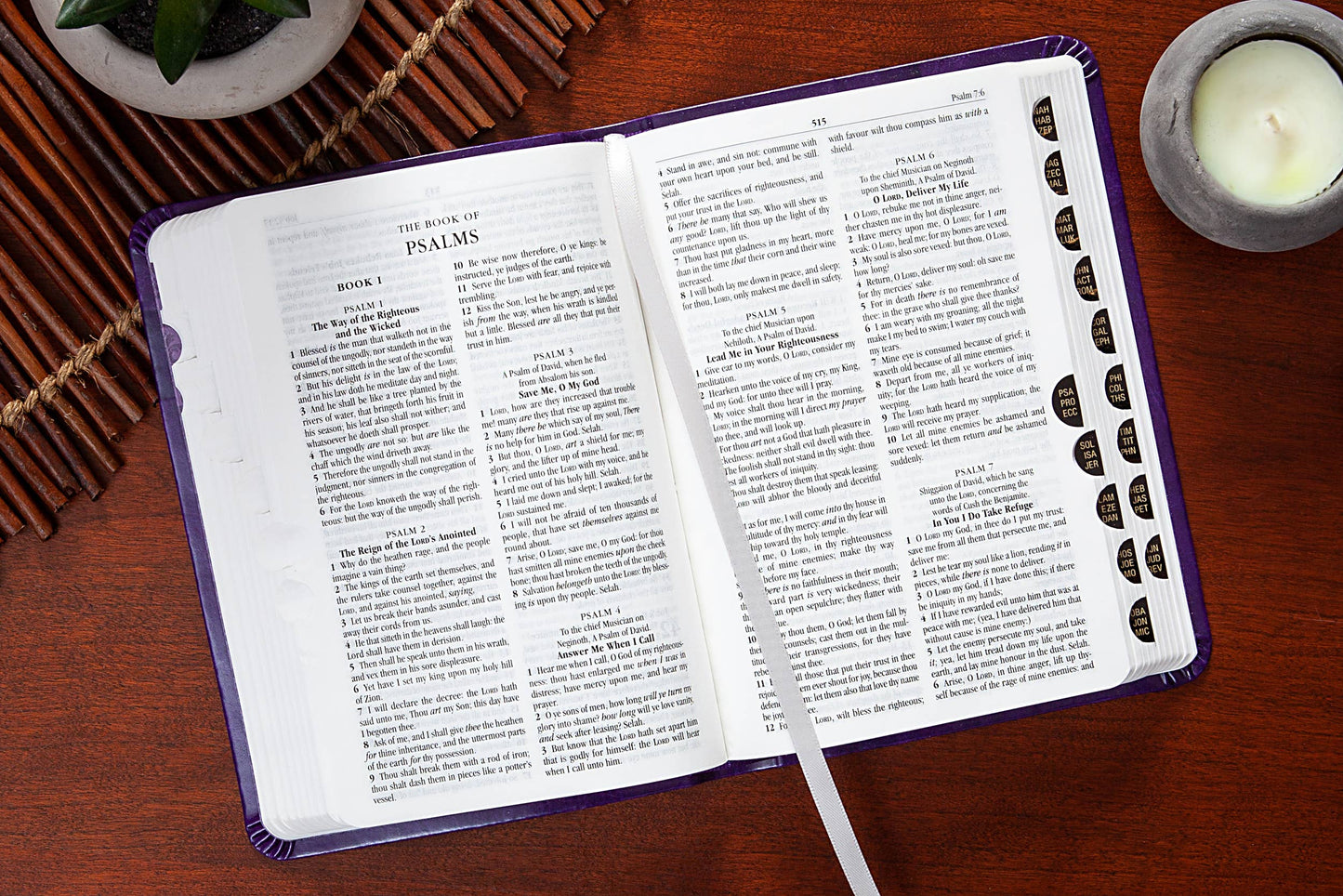 KJV Bible - Compact Amethyst