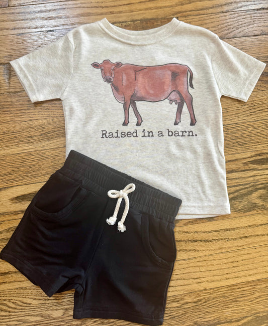 Raised In A Barn Tee
