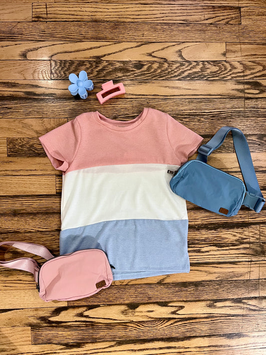 Pink & Blue Colorblock Knit Top